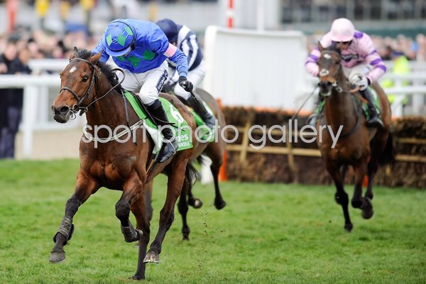 Hurricane Fly & Ruby Walsh win 2013 Champion Hurdle