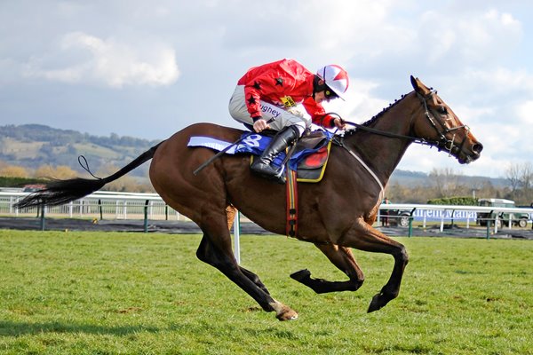 Sam Twiston & The New One win Cheltenham 2013