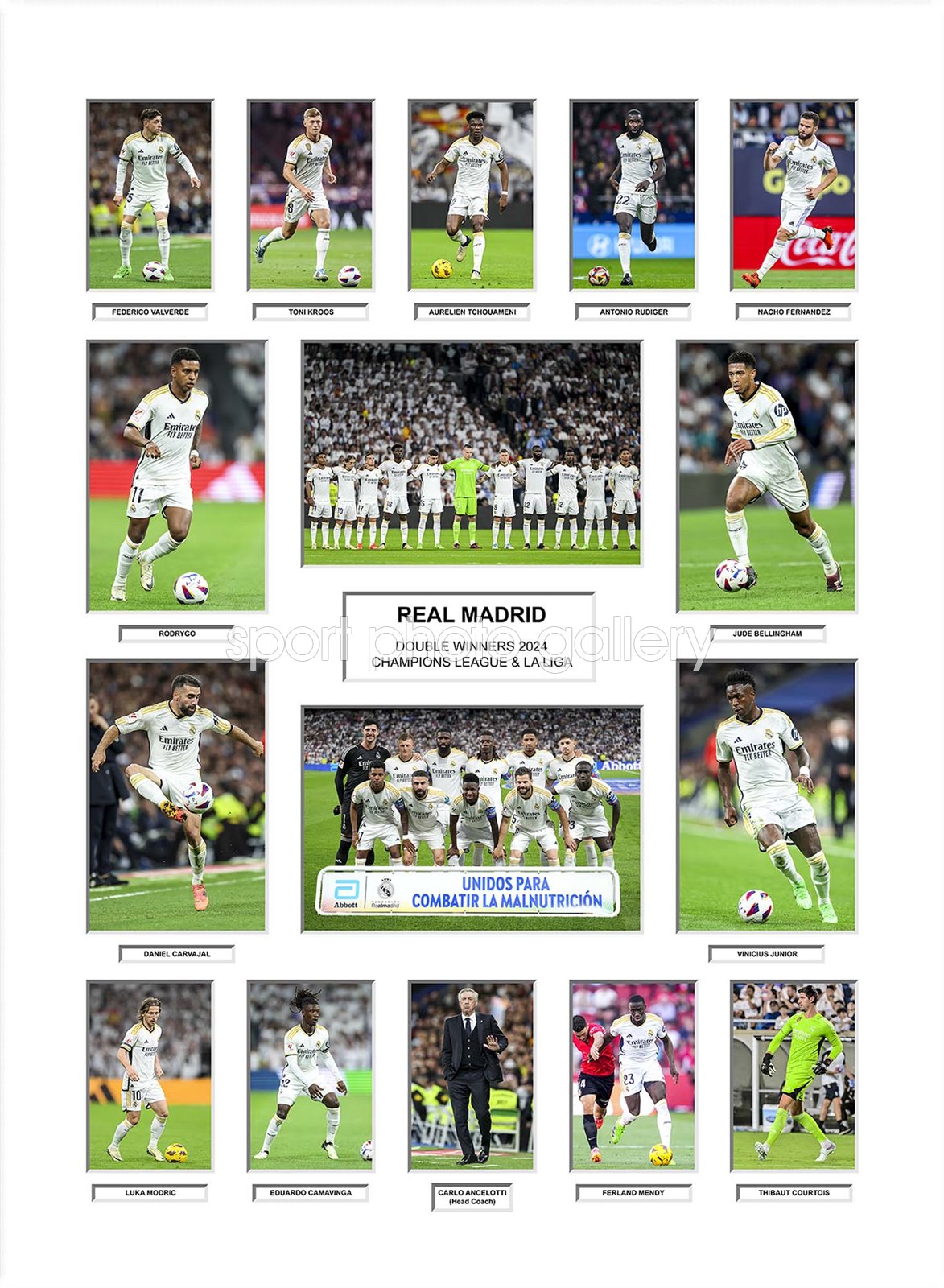 Real Madrid Double Winners Team Special Collage 2024