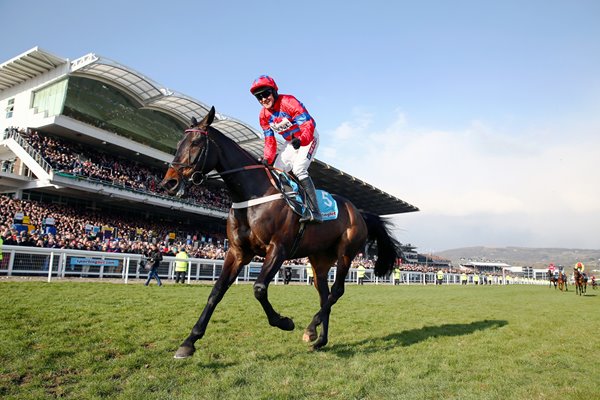 Barry Geraghty & Sprinter Sacre Cheltenham 2013