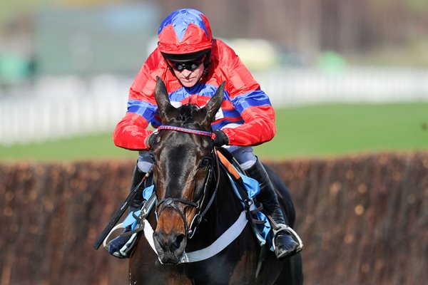 Barry Geraghty & Sprinter Sacre Cheltenham 2013