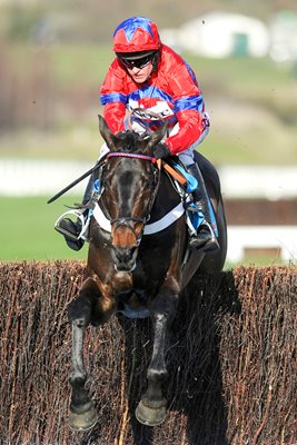 Barry Geraghty & Sprinter Sacre Cheltenham 2013