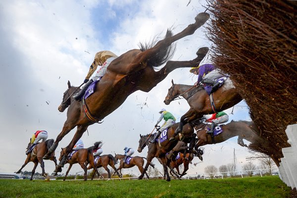 Cheltenham 2013