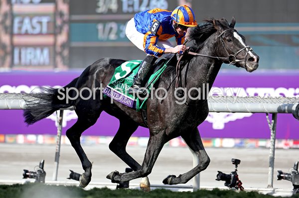 Ryan Moore & Auguste Rodin win Breeders' Cup World Championship California 2023