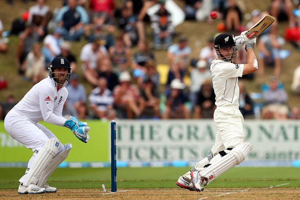 Kane Williamson and Matt Prior Wellington 2013