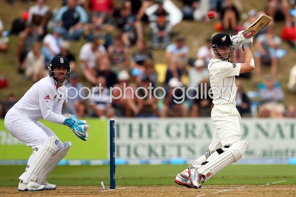 Kane Williamson and Matt Prior Wellington 2013
