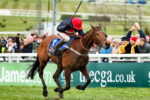 Barry Geraghty Bobs Worth Cheltenham Gold Cup 2013