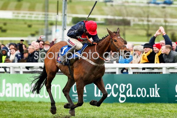 Barry Geraghty Bobs Worth Cheltenham Gold Cup 2013
