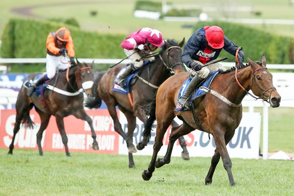 Barry Geraghty & Bobs Worth win Cheltenham 2013