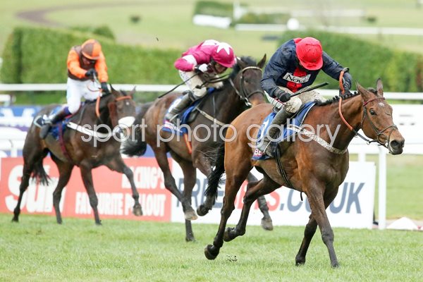 Barry Geraghty & Bobs Worth win Cheltenham 2013