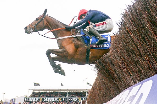 Barry Geraghty & Bobs Worth Cheltenham 2013