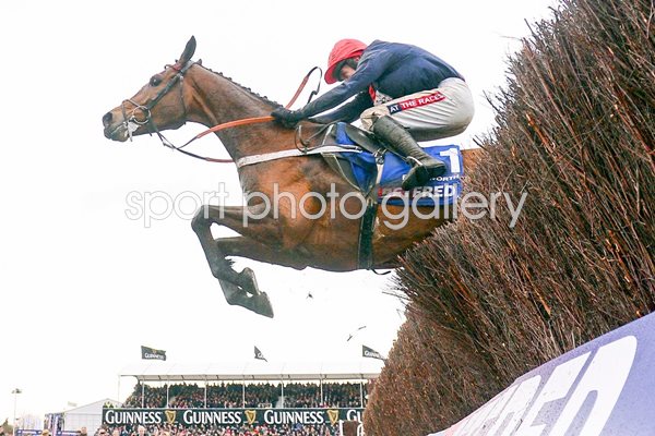 Barry Geraghty & Bobs Worth Cheltenham 2013