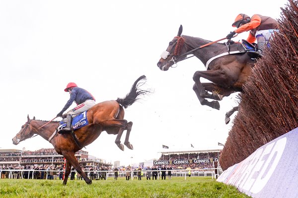 Bobs Worth and Long Run Cheltenham Gold Cup 2013