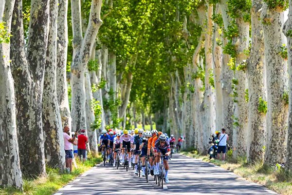 Peloton ride through trees Gruissan to Nimes Stage 16 Tour de France 2024