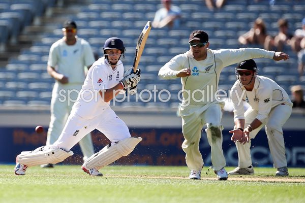 Joe Root England batting marathon Day 5 Auckland 2013