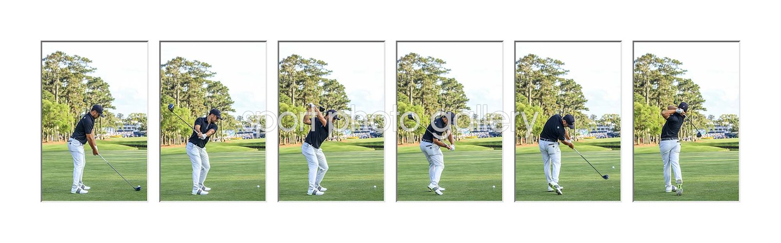 Xander Schauffele USA Double Major Winner 2024 Swing Sequence Collage