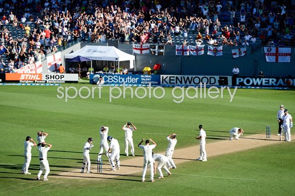 New Zealand v England 2013
