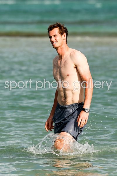 Andy Murray ATP Tour