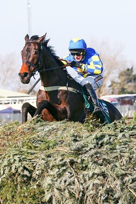 Auroras Encore & Ryan Mania 2013 Grand National winners