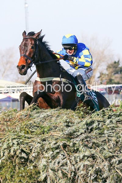 Auroras Encore & Ryan Mania 2013 Grand National winners