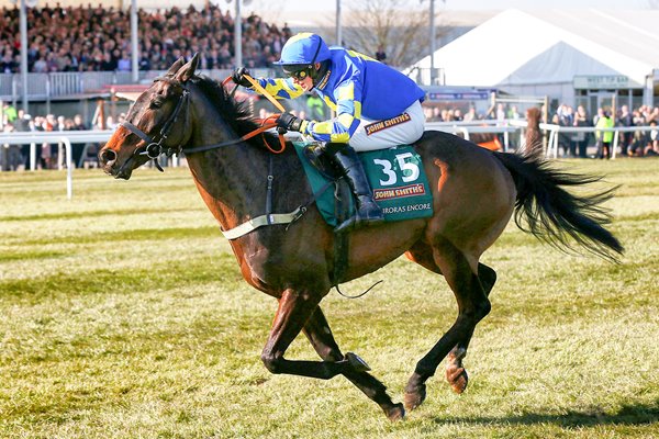 Auroras Encore & Ryan Mania 2013 Grand National winners