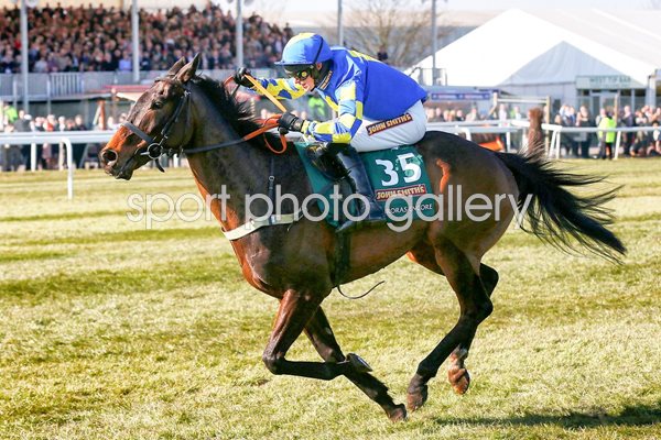 Auroras Encore & Ryan Mania 2013 Grand National winners