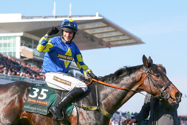 Auroras Encore & Ryan Mania 2013 Grand National winners