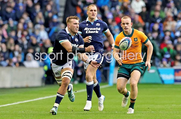 Matt Fagerson Scotland breaks v Australia Autumn Series Murrayfield 2024