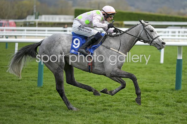 Paul Townend riding Lossiemouth to Mares Hurdle win Cheltenham Festival 2025