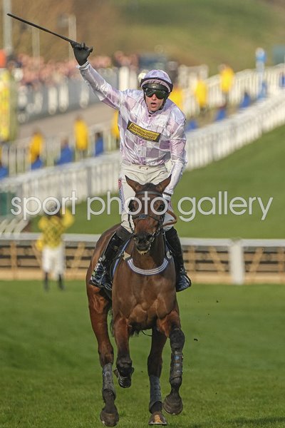 Lorcan Williams celebrates on Golden Ace Champion Hurdle Cheltenham Festival 2025 