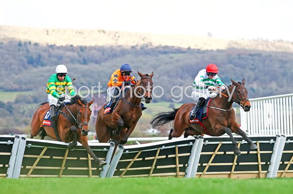 Harry Skelton riding The New Lion (left) Novices' Hurdle winner Cheltenham 2025