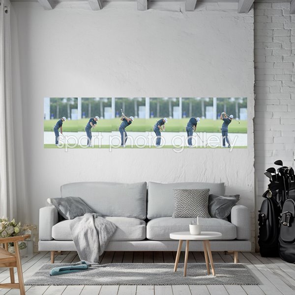 Rory McIlroy 6 Stage Swing Sequence 2015