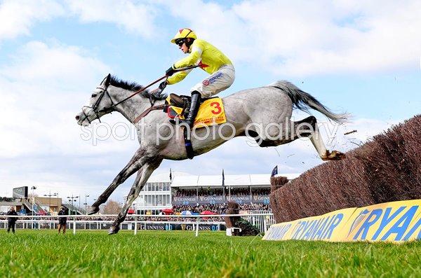 Harry Cobden & Caldwell Potter win Jack Richards Novices' Limited Handicap Chase Cheltenham 2025