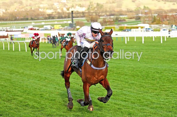 Lorcan Williams riding Golden Ace wins Champion Hurdle Cheltenham 2025 