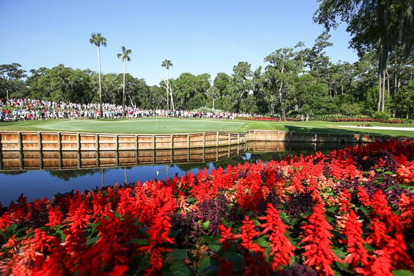 TPC Stadium Course Sawgrass 13th Hole 