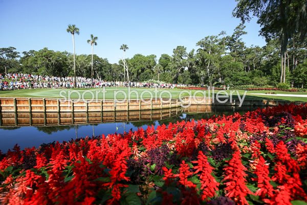 TPC Stadium Course Sawgrass 13th Hole 