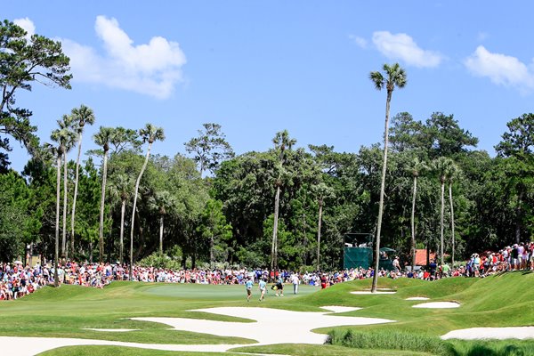 TPC Stadium Course Sawgrass 8th Hole 