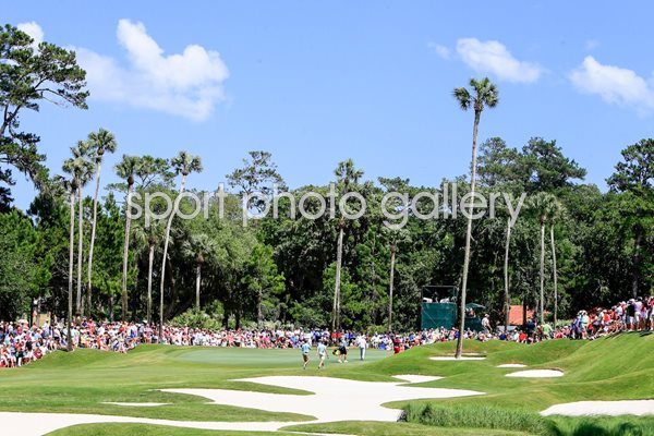 TPC Stadium Course Sawgrass 8th Hole 