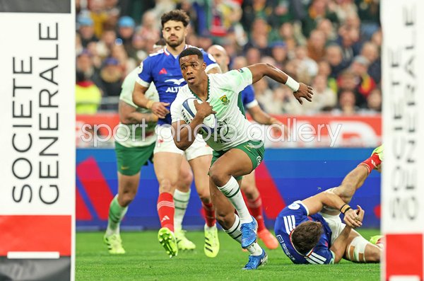 France v South Africa - Autumn Nations Series 2025