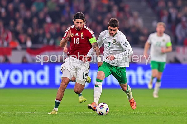 Troy Parrott Republic of Ireland v Hungary World Cup 2026 Qualifier