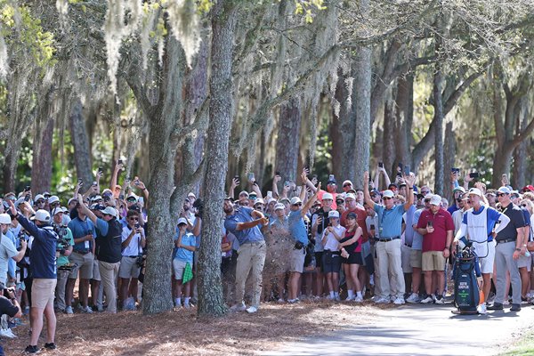 Scottie Scheffler USA Tree Trouble Players Championship TPC Sawgrass 2026