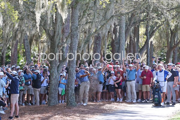 Scottie Scheffler USA Tree Trouble Players Championship TPC Sawgrass 2026