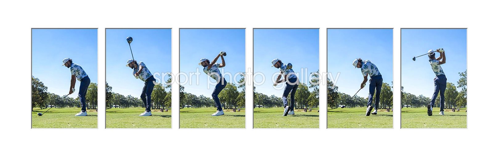 Akshay Bhatia 6 Stage Swing Sequence Collage