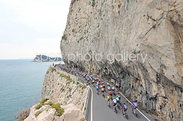 Peloton Milano-Sanremo 2026 