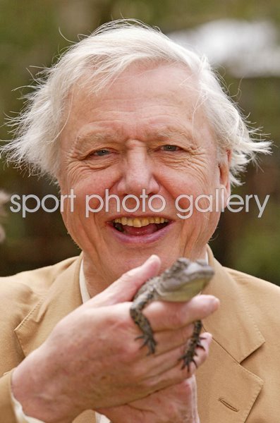 David Attenborough with baby salt water crocodile Taronga Zoo Sydney Australia 2003