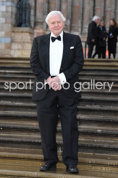 David Attenborough Our Planet Global Premiere London 2019