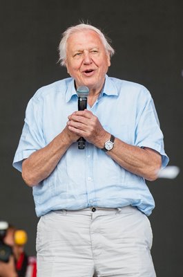 David Attenborough Pyramid Stage Glastonbury Festival 2019