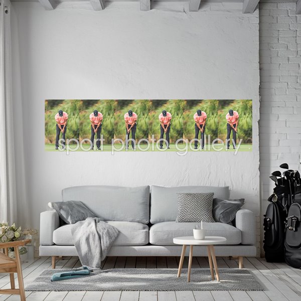 Tiger Woods 6 Stage Putt Sequence Collage Presentation Wall Sticker