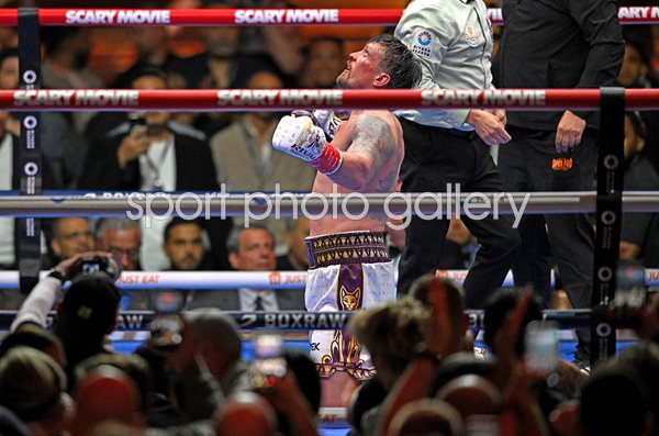 Oleksandr Usyk celebrates win v Rico Verhoeven Cairo Egypt 2026