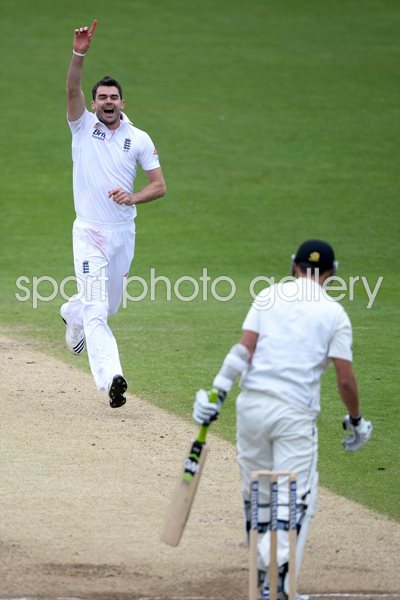 James Anderson takes series winning wicket v New Zealand 2013